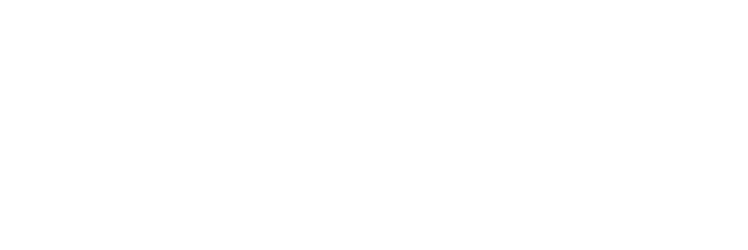 Audi | Partner of Femme Open