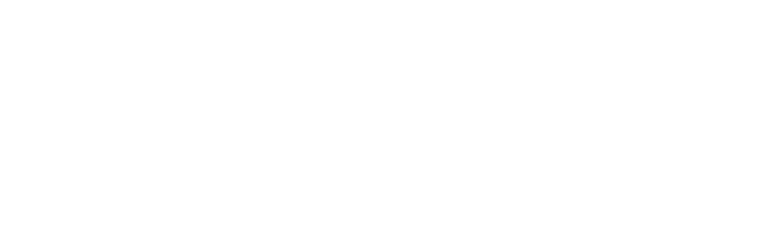 Mollie Payment Logo